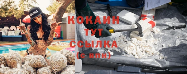 гидропоника Горнозаводск