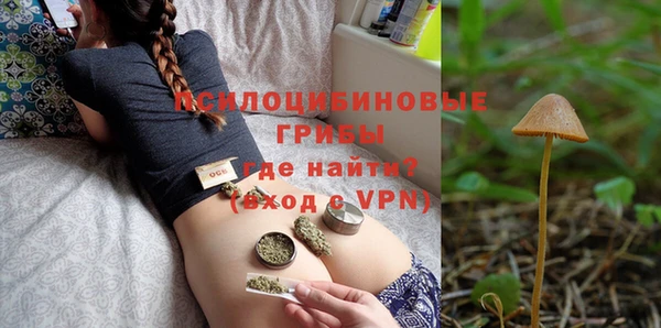 гашик Волоколамск