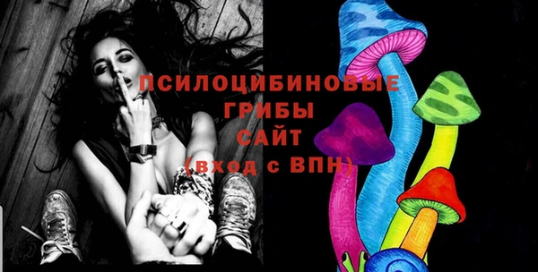 хмурый Волосово