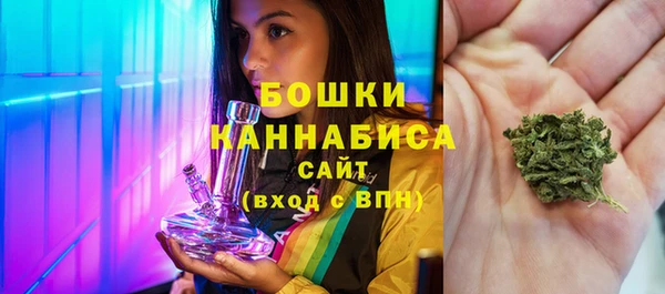 гидропоника Горнозаводск