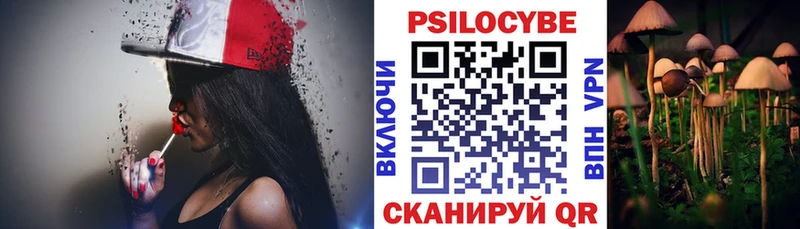 Купить закладки Алушта Псилоцибиновые грибы MAGIC MUSHROOMS